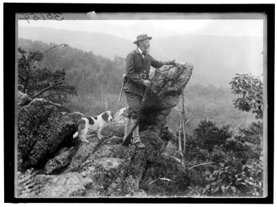 ROTHROCK, JOSEPH TRIMBLE, M.D. BOTANIST LCCN2016869825