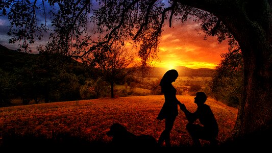 Nature dusk silhouette
