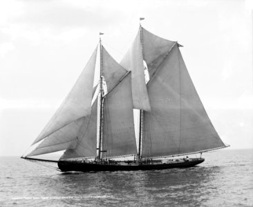 Rose Dorothea-Lipton's Cup-1907 Fishermen's Race