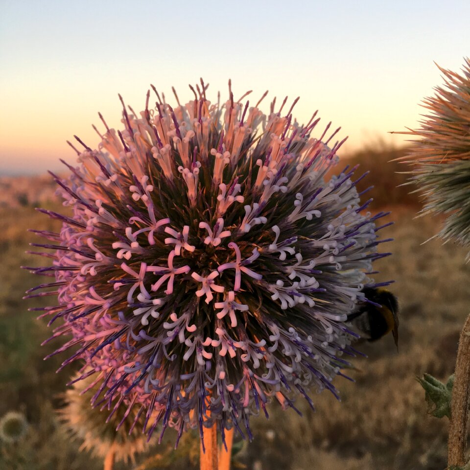 Measurement nature vue