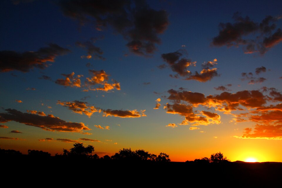 Nature sun panoramic