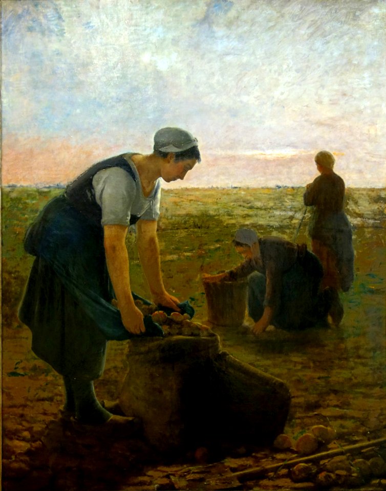Roubaix piscine masson ramasseuses pommes de terre