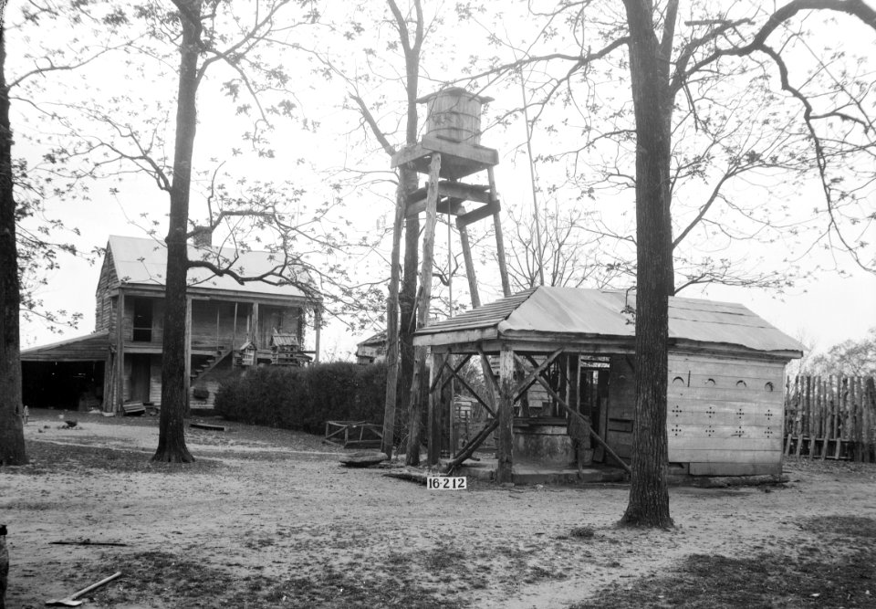 Rosemount Plantation 04