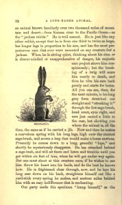 Roughing It, p. 032