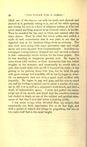Roughing It, p. 036