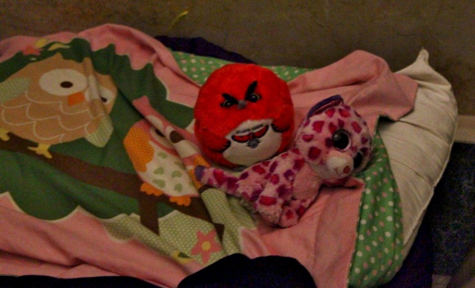 Rotunda Sleepover (19670181573)