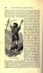 Roughing It, p. 260