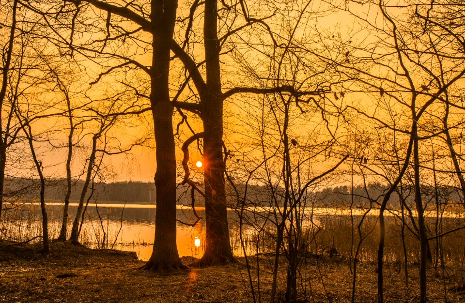 Nature dawn sunset