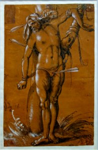 Rotterdam baldung grien st sebastien