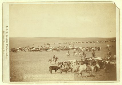 Round-up scenes on Belle Fouche (sic) in 1887 LCCN99613910