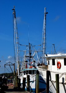 Business fishing industry