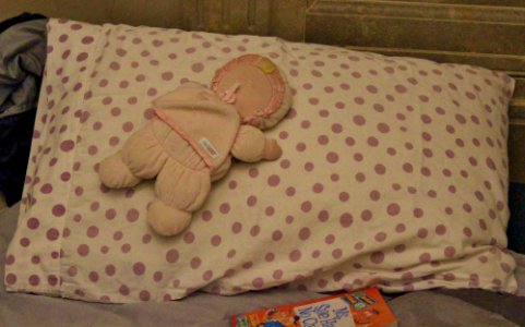 Rotunda Sleepover (20282785602)