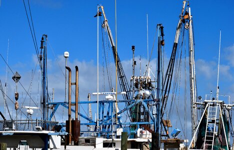 Business fishing industry photo