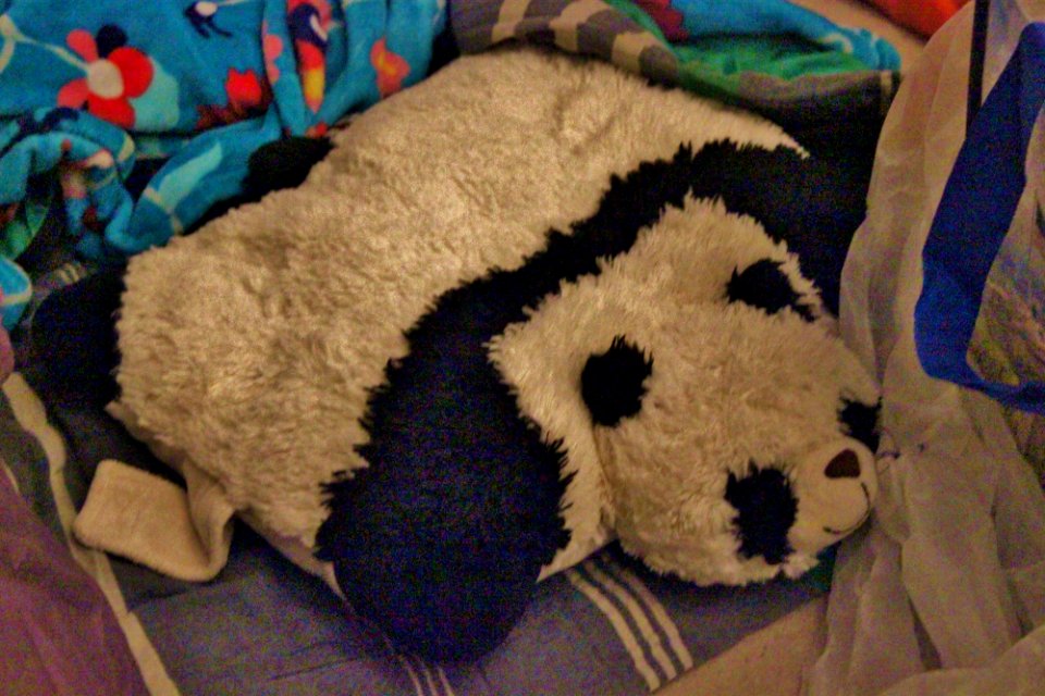 Rotunda Sleepover (20297532571)