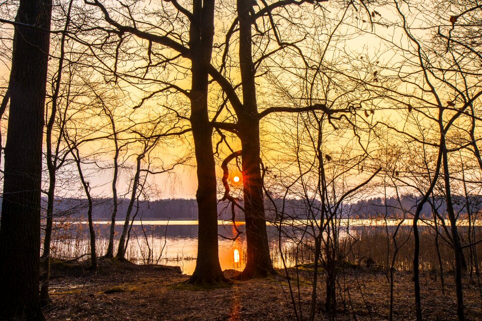 Nature dawn sunset