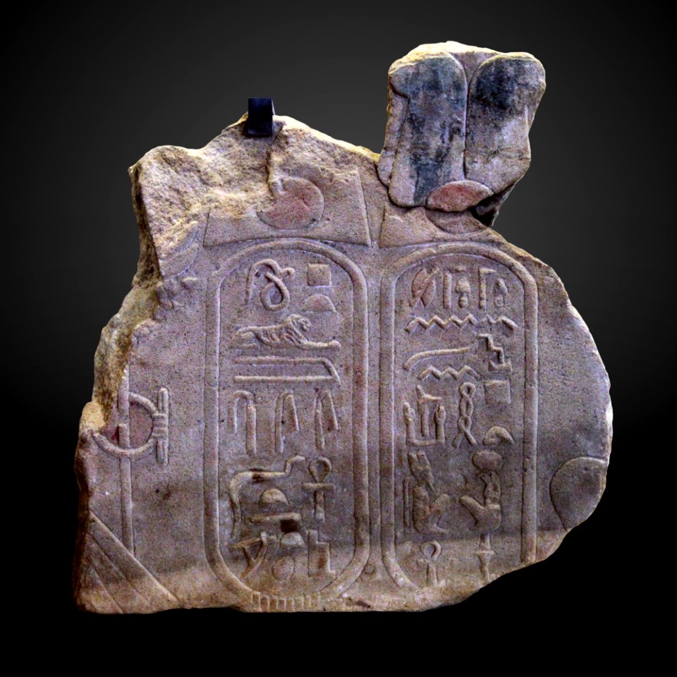 Royal cartouches-MAHG D 350-IMG 9618-gradient