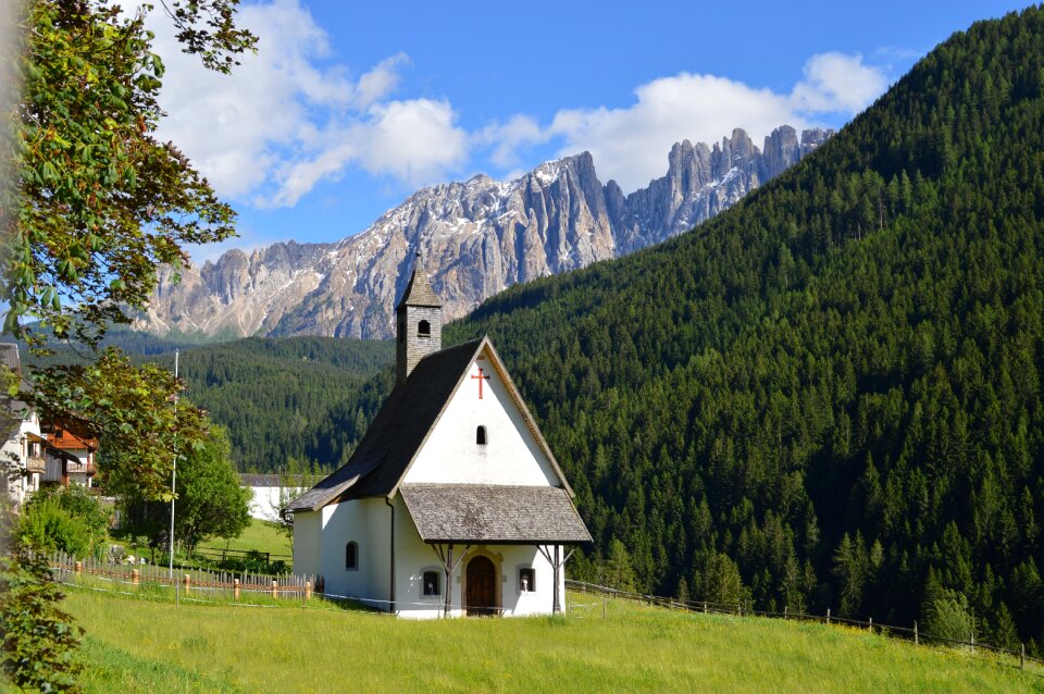 Tree landscape travel