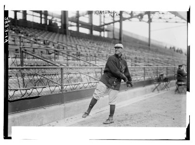 Roy Hartzell, New York AL (baseball) LCCN2014694969 photo