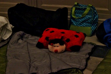 Rotunda Sleepover (20282787412)