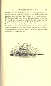 Roughing It, p. 089