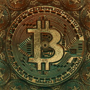 Bitcoin archaeological historical