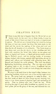 Roughing It, p. 173