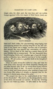Roughing It, p. 201