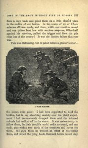 Roughing It, p. 233