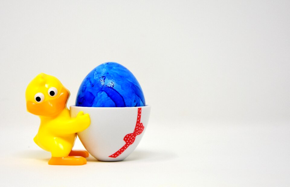 Funny colorful spring