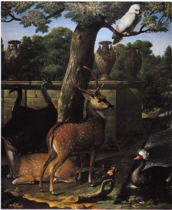 Royen, Willem Frederik - Menagerie des Kurfürsten Friedrich III von Brandenburg - Schloss Caputh
