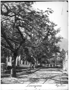 Rua das Laranjeiras - 1