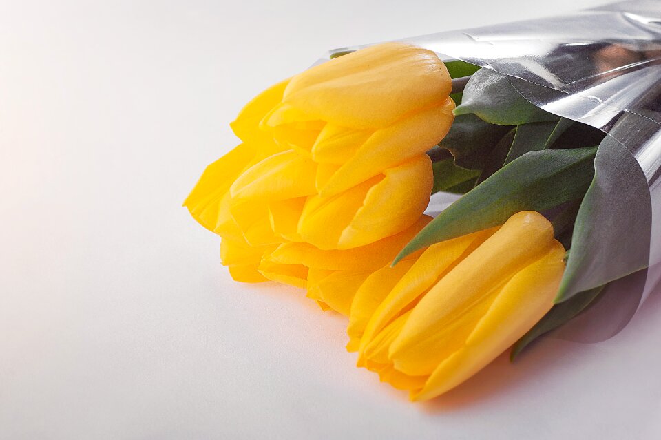 Flower bouquet tulip