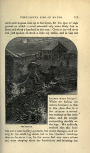 Roughing It, p. 219