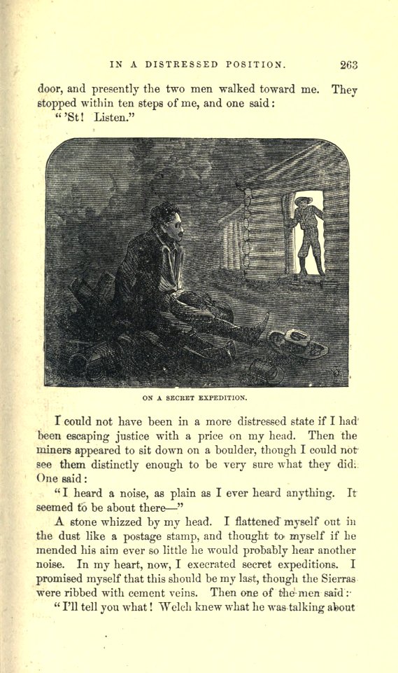 Roughing It, p. 263