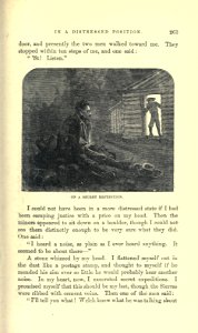 Roughing It, p. 263