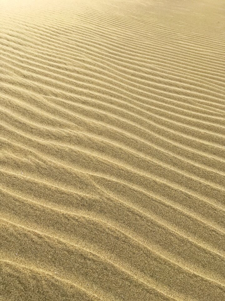 Desert nature beach photo