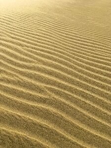 Desert nature beach photo