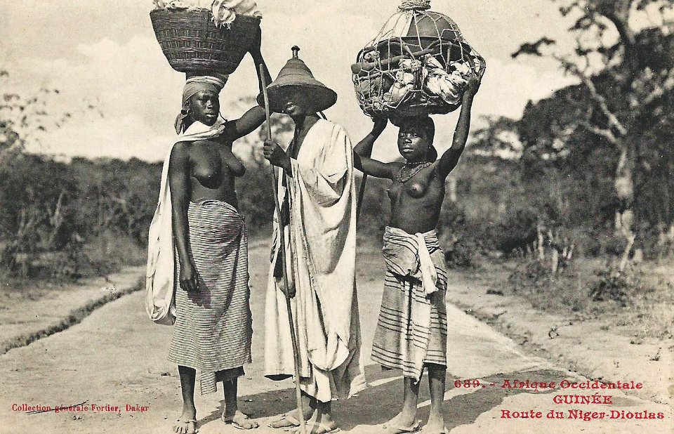 Route du Niger-Dioulas (Guinée)