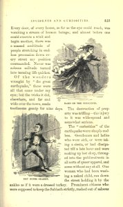 Roughing It, p. 423