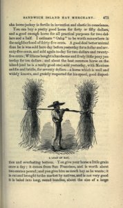 Roughing It, p. 471