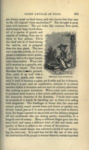 Roughing It, p. 475