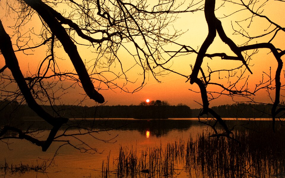 Nature dawn sunset photo