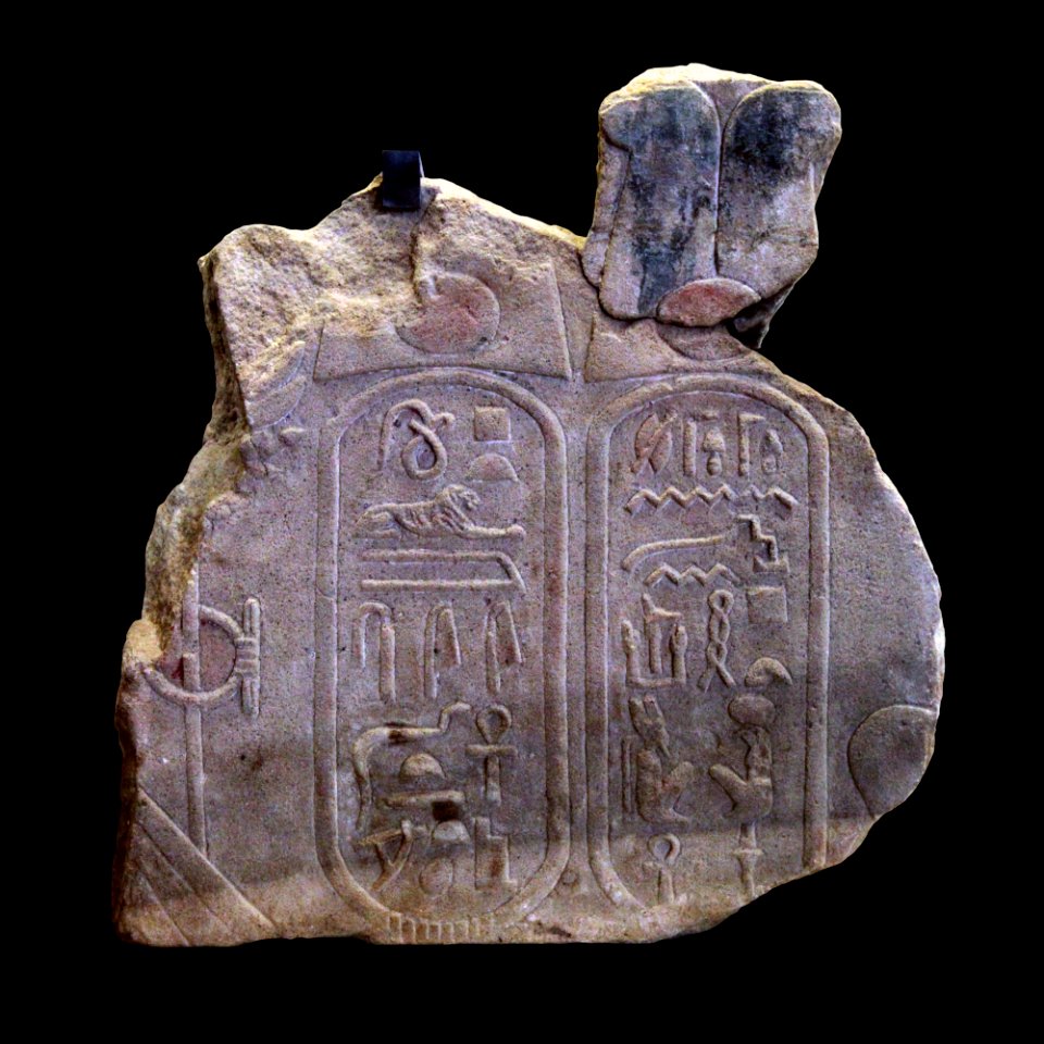 Royal cartouches-MAHG D 350-IMG 9618-black
