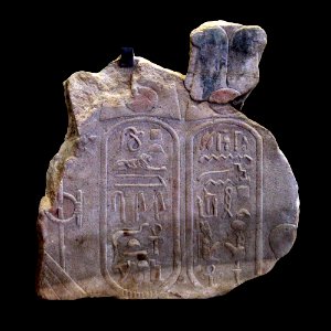 Royal cartouches-MAHG D 350-IMG 9618-black