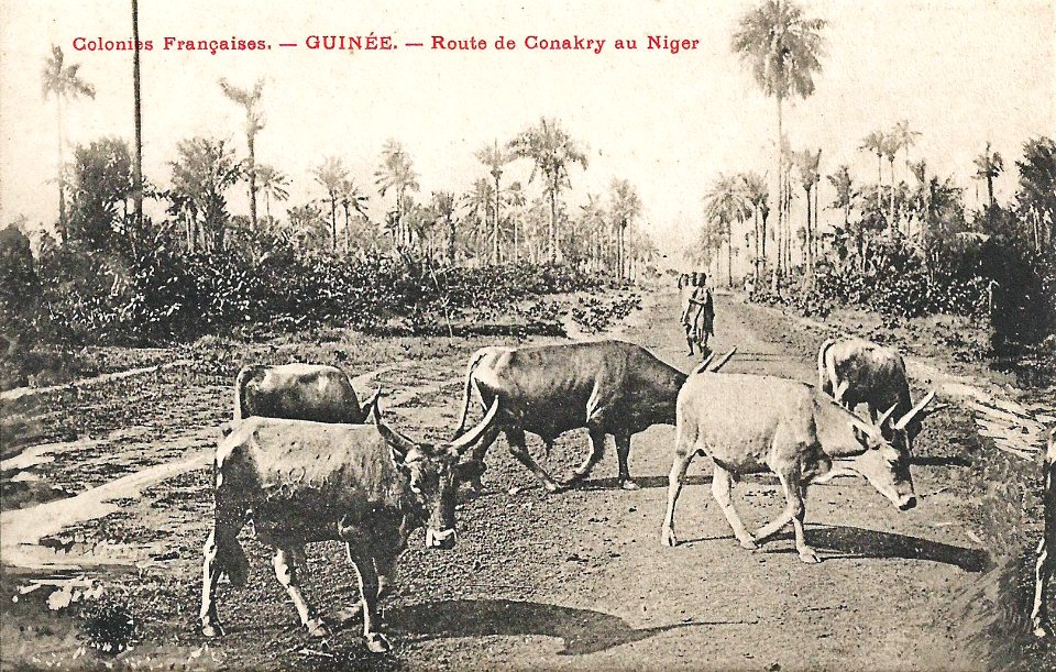 Route de Conakry au Niger (Guinée)
