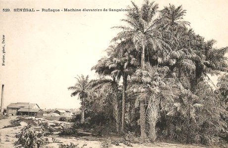 Rufisque-Machine élévatoire de Sangalcam (AOF)