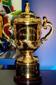 Rugby World Cup Trophy