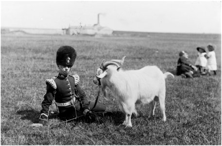 Royal Welsh Fusiliers Goat photo
