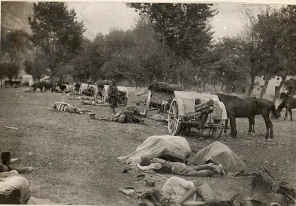 Ruhende Artillerie.26.8.17. (BildID 15598938)