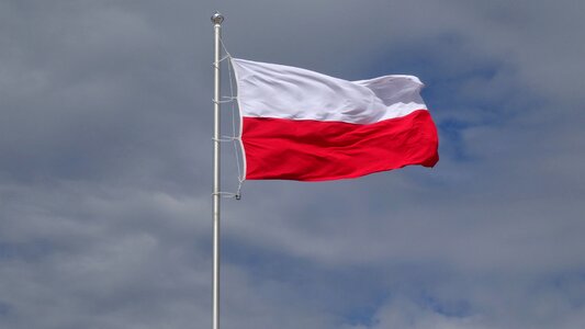 Polish flag homeland the nation photo